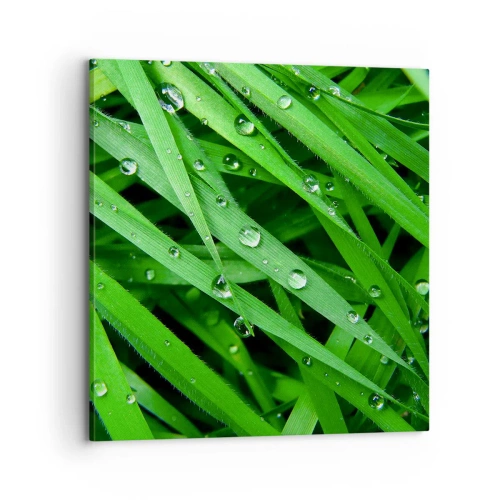 Impression sur toile - Image sur toile - Jouez dans le vert - 70x70 cm