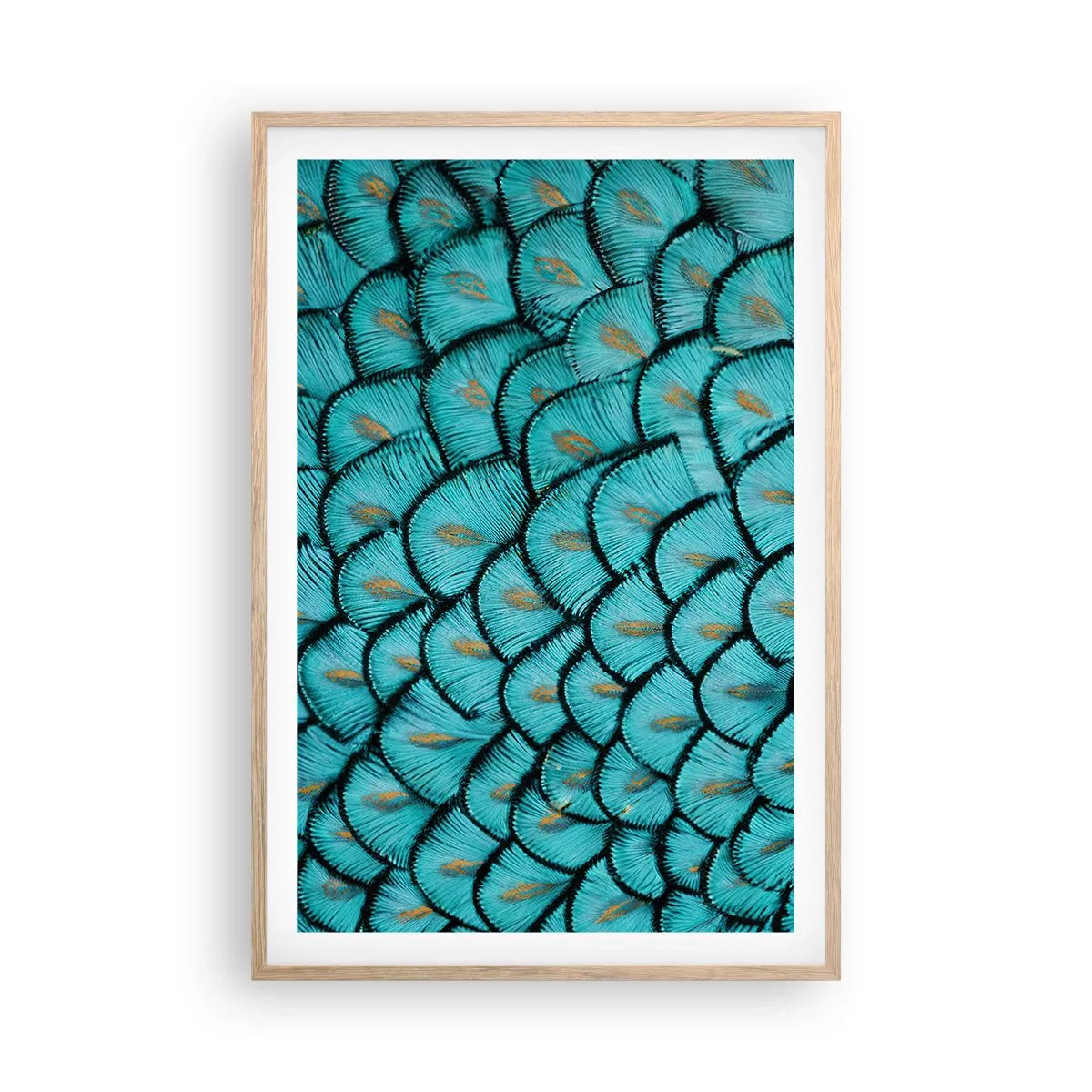 Affiche dans un chêne clair - Poster - Le grand gala des plumes - 61x91 cm