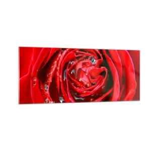 Impression sur verre - Image sur verre - Dans les gouttes de rosée - 100x40 cm