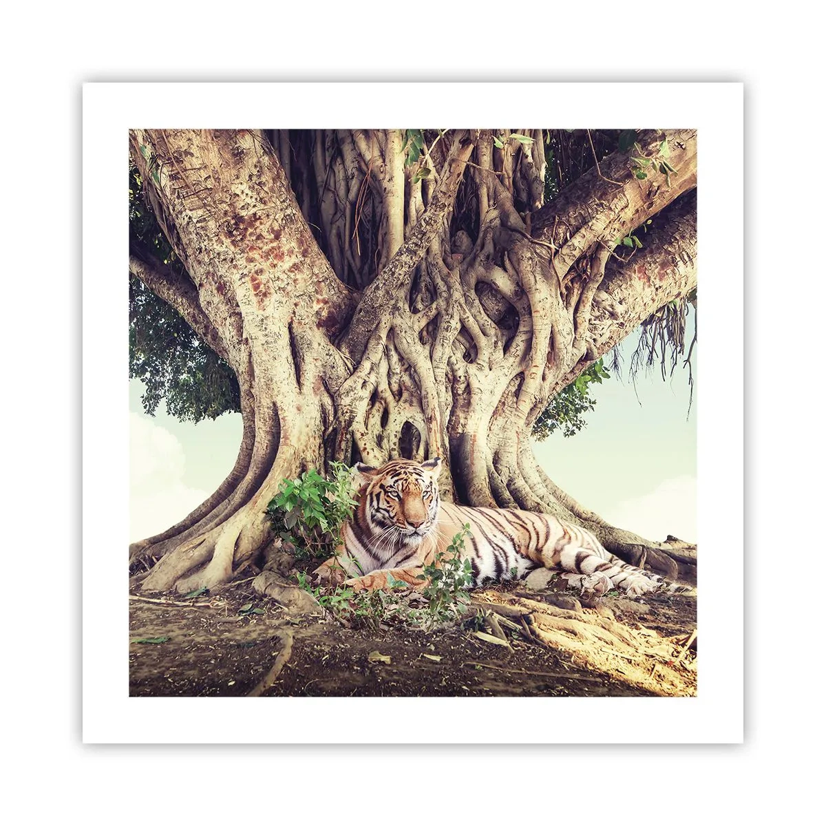 Affiche - Poster - Vue du Livre de la Genèse - 50x50 cm