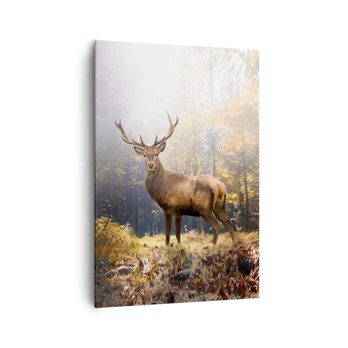 Impression sur toile - Image sur toile - Cerf dans la forêt d'automne avec les rayons du soleil - 70x100cm - Toute sa majesté - Décoration murale moderne pour le salon et la chambre ARTTOR