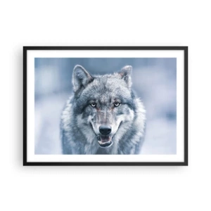 Affiche dans un cadre noir - Poster - Un loup au regard intense dans un paysage hivernal - 70x50cm - Relèverez-vous le défi ? - Décoration murale moderne pour le salon et la chambre ARTTOR