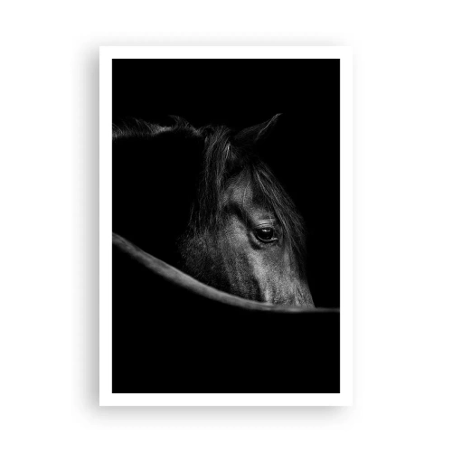 Affiche - Poster - Prince Noir - 70x100 cm