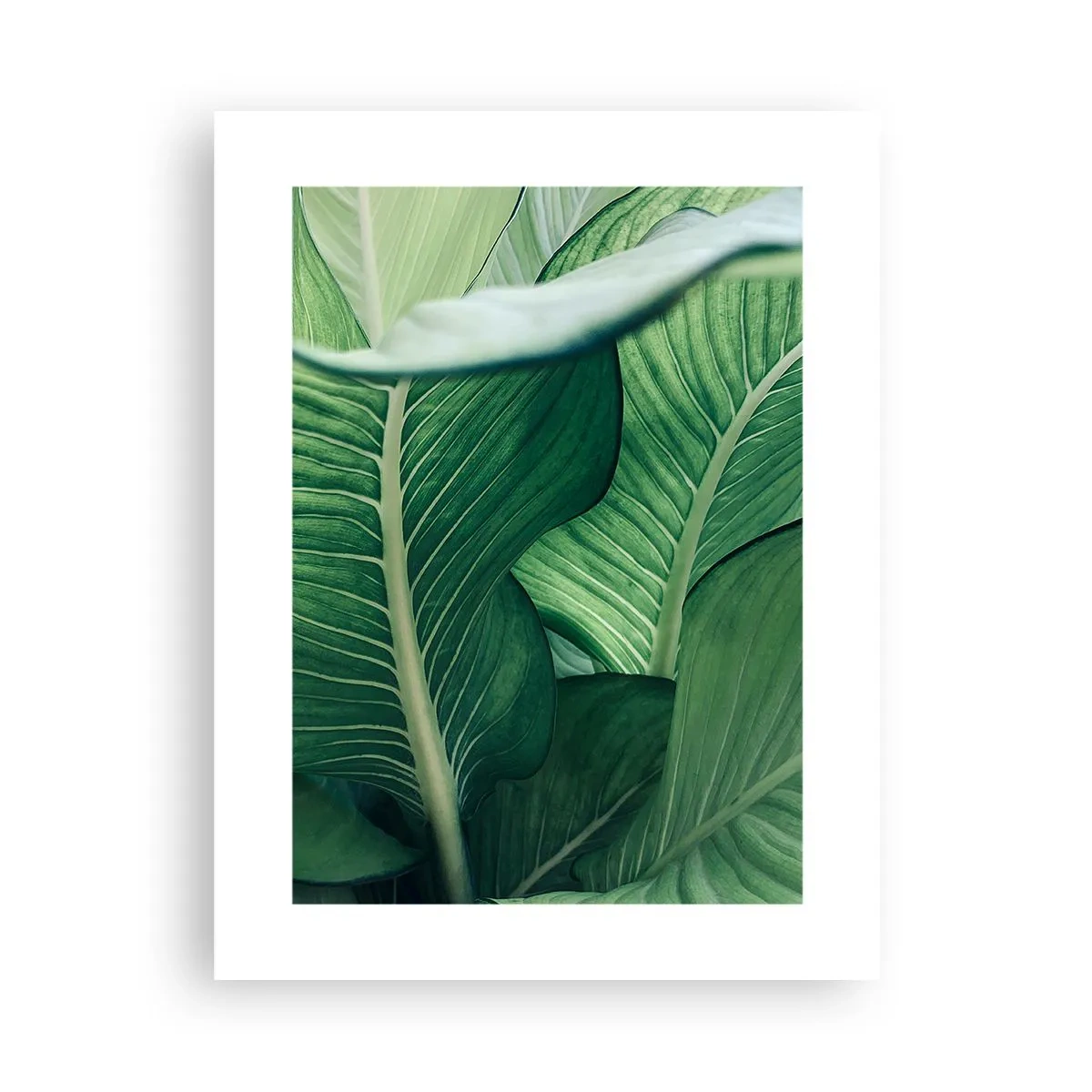 Affiche - Poster - Une vie intensément verte - 30x40 cm