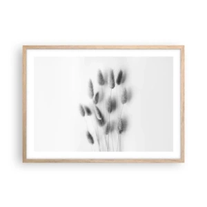 Affiche dans un chêne clair - Poster - Son herbe duveteuse - 70x50 cm