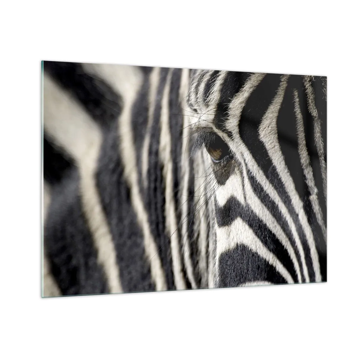 Impression sur verre - Image sur verre - Gros plan de l'œil d'un zèbre et de rayures noires et blanches - 100x70cm - Portrait en rayure - Décoration murale moderne pour le salon et la chambre ARTTOR