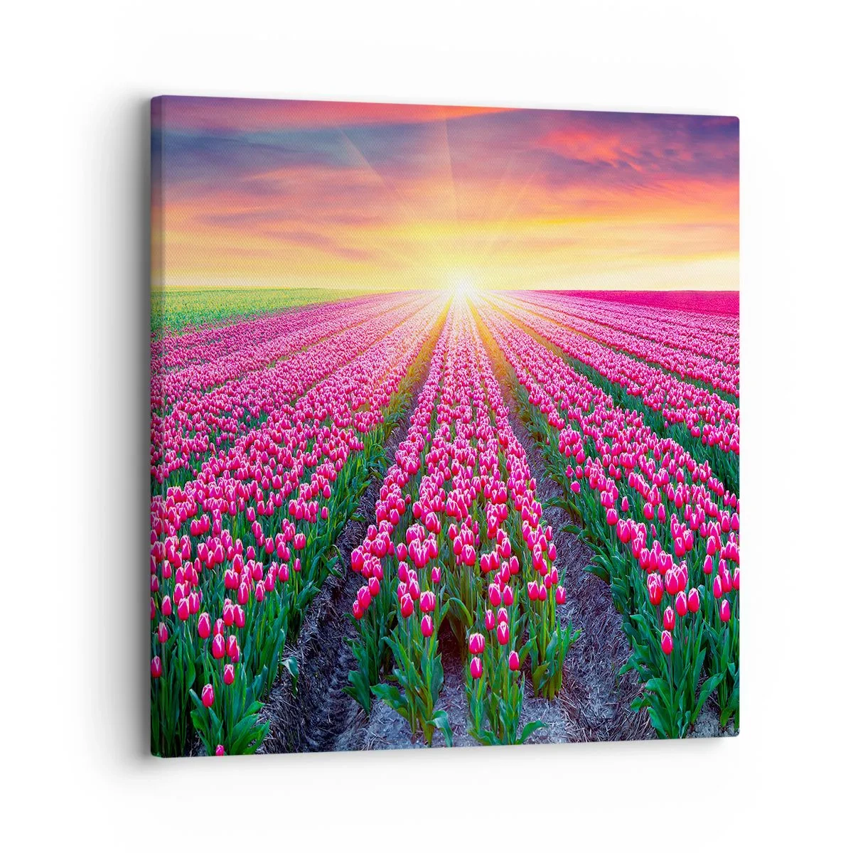 Impression sur toile - Image sur toile - Ferme de la beauté - 30x30 cm