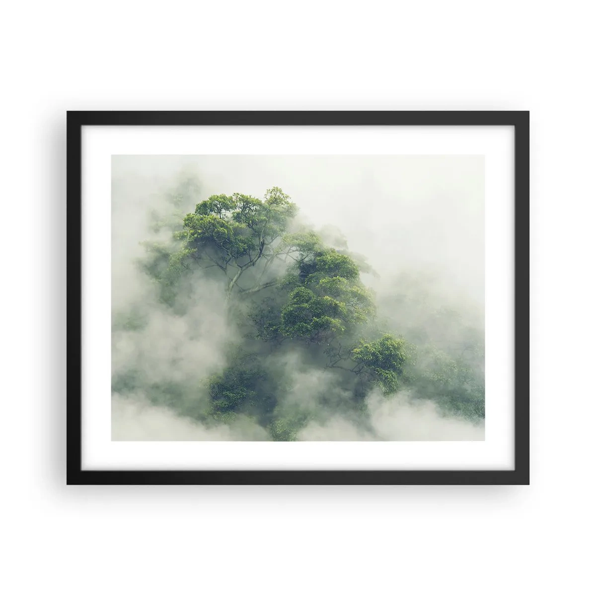Affiche dans un cadre noir - Poster - Enveloppé de brouillard - 50x40 cm