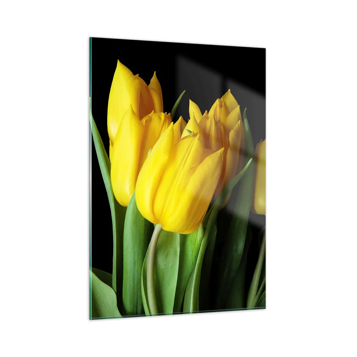 Impression sur verre - Image sur verre - Tulipes jaunes sur fond noir dans une photo élégante - 50x70cm - Lever de soleil pur - Décoration murale moderne pour le salon et la chambre ARTTOR