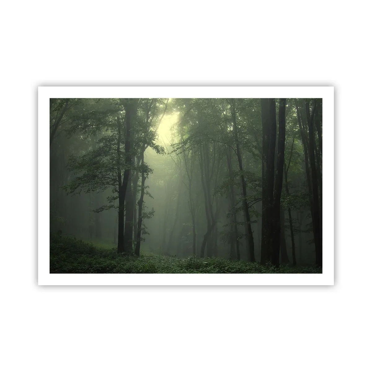 Affiche - Poster - Avant qu'il ne se réveille - 91x61 cm