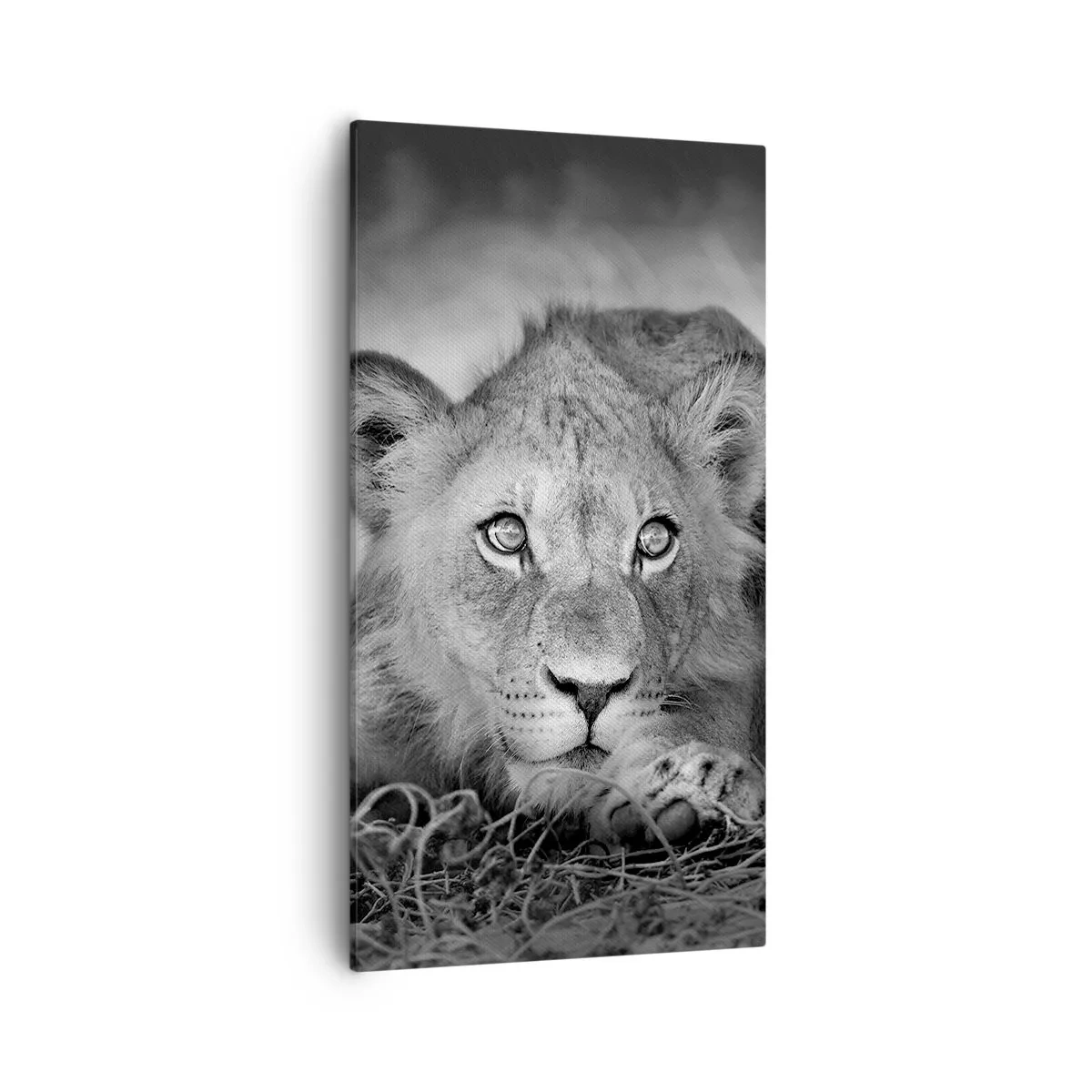 Impression sur toile - Image sur toile - Chiot royal - 55x100 cm