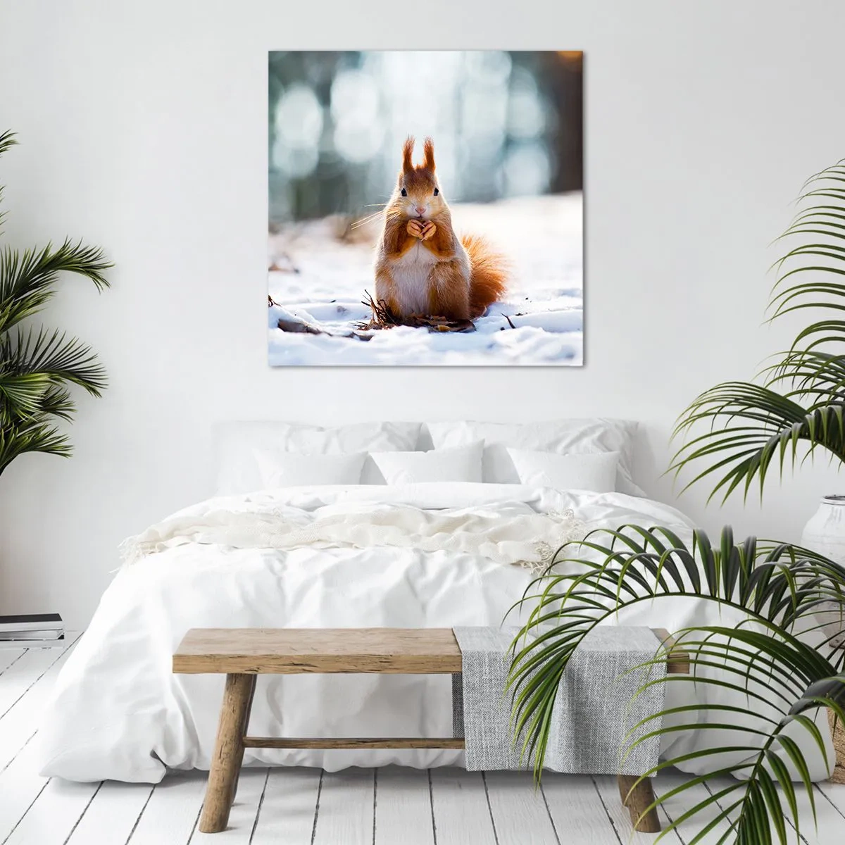 Impression sur toile - Image sur toile - Qu'est ce que tu regardes comme ça? - 60x60 cm