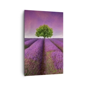Impression sur toile - Image sur toile - Un champ de lavande avec un arbre solitaire et un ciel violet - 80x120cm - Dans un champs de lavande - Décoration murale moderne pour le salon et la chambre ARTTOR
