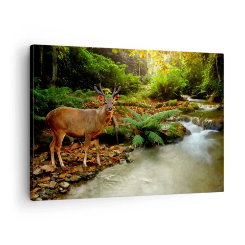 Impression sur toile - Image sur toile - Un cerf près d'un ruisseau entouré de verdure dans la forêt - 70x50cm - Bienvenue dans mon monde - Décoration murale moderne pour le salon et la chambre ARTTOR