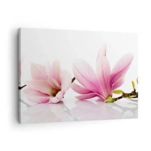Impression sur toile - Image sur toile - Magnolias roses délicats sur fond blanc - 70x50cm - Délicat comme une brise de printemps - Décoration murale moderne pour le salon et la chambre ARTTOR