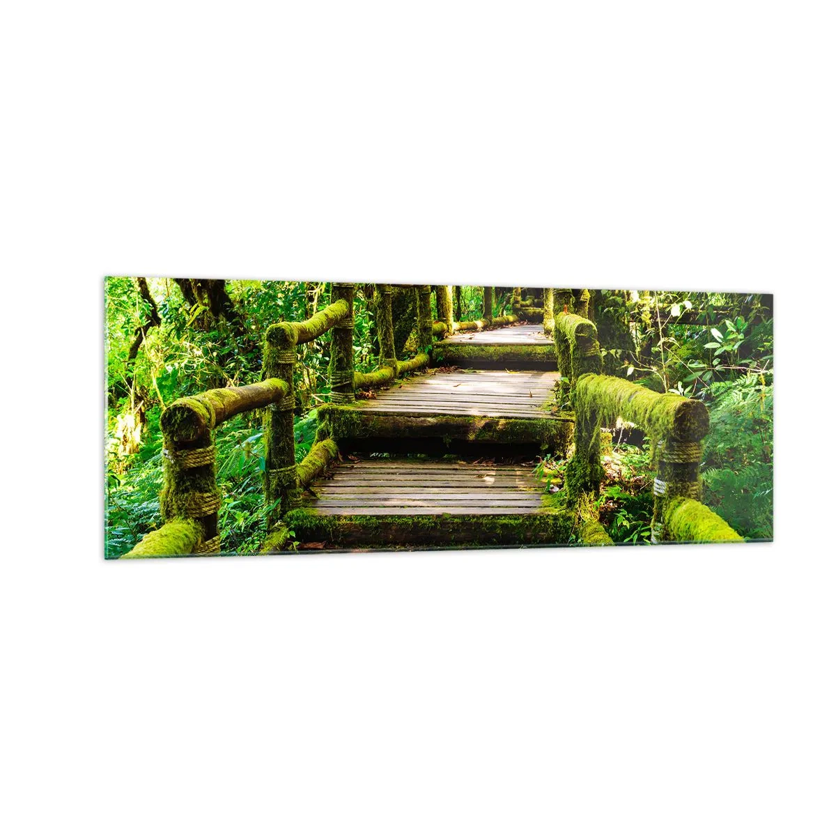 Impression sur verre - Image sur verre - Un pont en bois recouvert de mousse dans une forêt tropicale - 140x50cm - Un couloir de verdure - Décoration murale moderne pour le salon et la chambre ARTTOR
