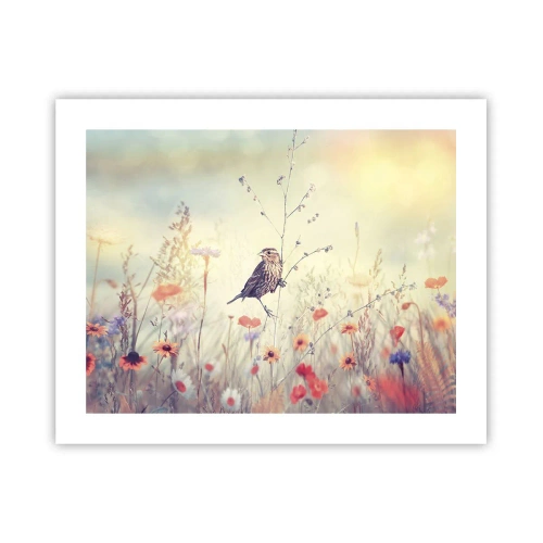 Affiche - Poster - Portrait d'oiseau sur pré en fond - 50x40 cm