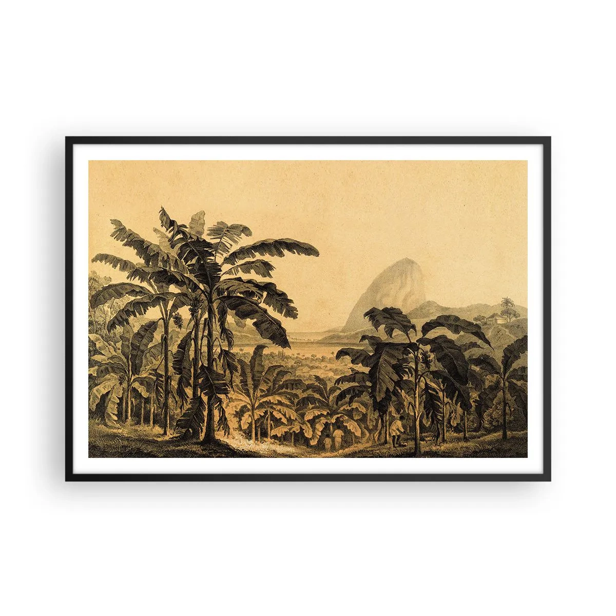 Affiche dans un cadre noir - Poster - Dessin de bananiers sur fond de paysage tropical - 100x70cm - Dans un climat colonial - Décoration murale moderne pour le salon et la chambre ARTTOR