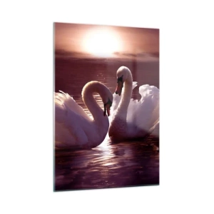 Impression sur verre - Image sur verre - Deux cygnes sur l'eau à la lumière du soleil couchant - 50x70cm - Jusqu'à ce que la mort nous sépare - Décoration murale moderne pour le salon et la chambre ARTTOR