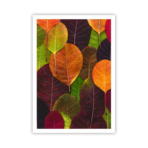 Affiche - Poster - Mozaique printannière - 70x100 cm