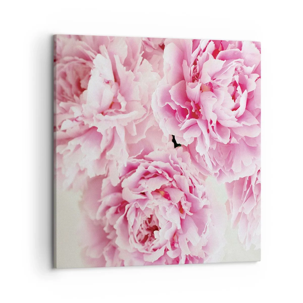 Impression sur toile - Image sur toile - En glamour rose - 50x50 cm