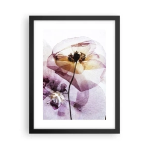 Affiche dans un cadre noir - Poster - Corps de fleurs transparente - 30x40 cm