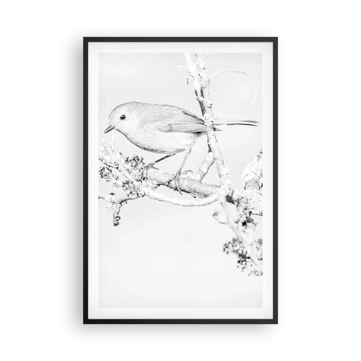 Affiche dans un cadre noir - Poster - Matin d'hiver - 61x91 cm