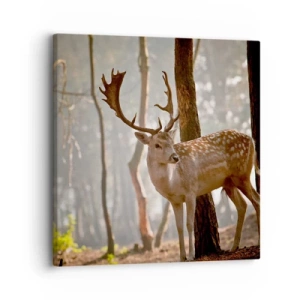 Impression sur toile - Image sur toile - La lumière de la jeunesse - 30x30 cm