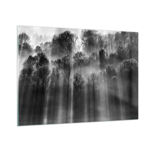 Impression sur verre - Image sur verre - Des rayons de lumière noirs et blancs pénètrent la forêt - 100x70cm - Dans les flots de lumière - Décoration murale moderne pour le salon et la chambre ARTTOR