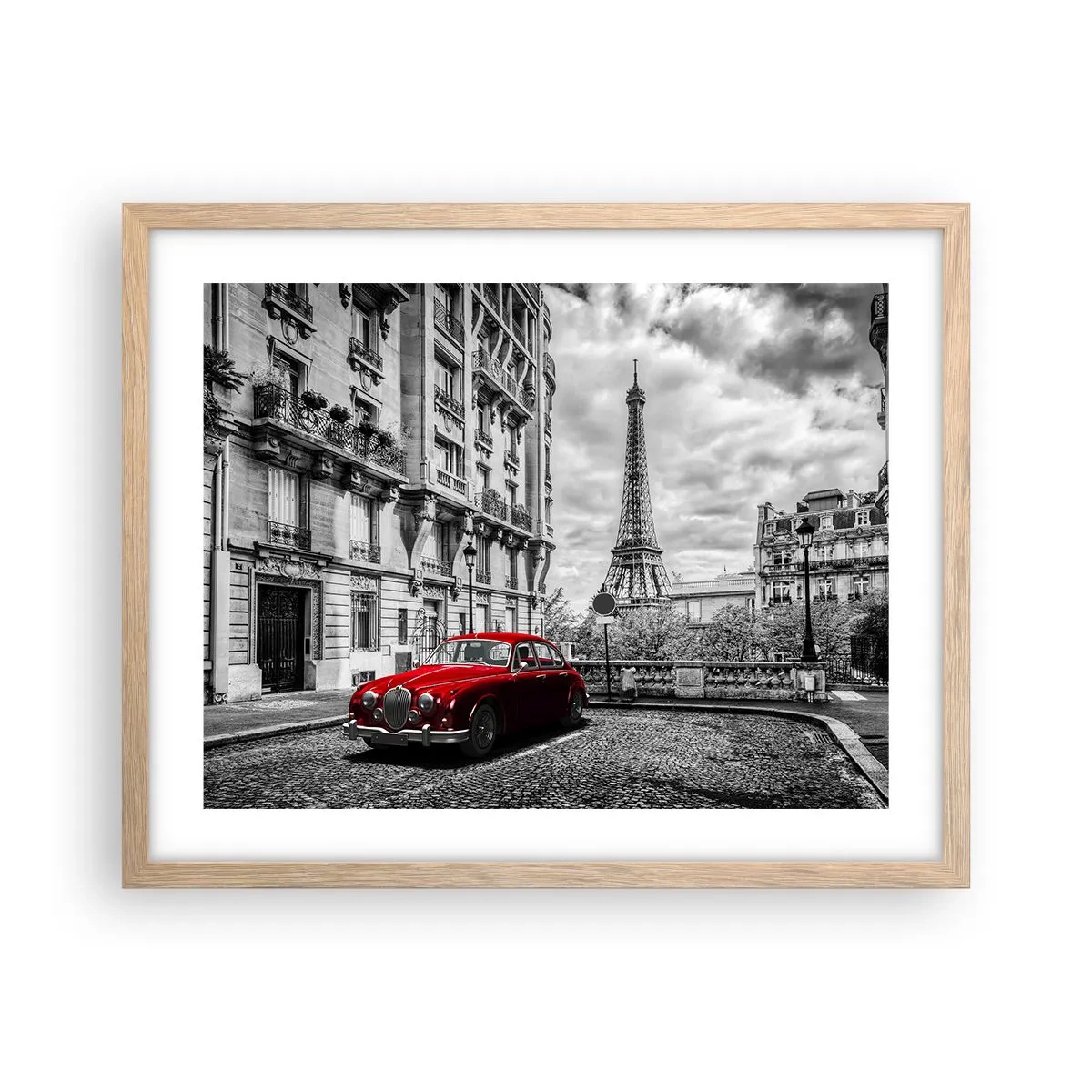 Affiche dans un chêne clair - Poster - Prédateur dans la ville - 50x40 cm