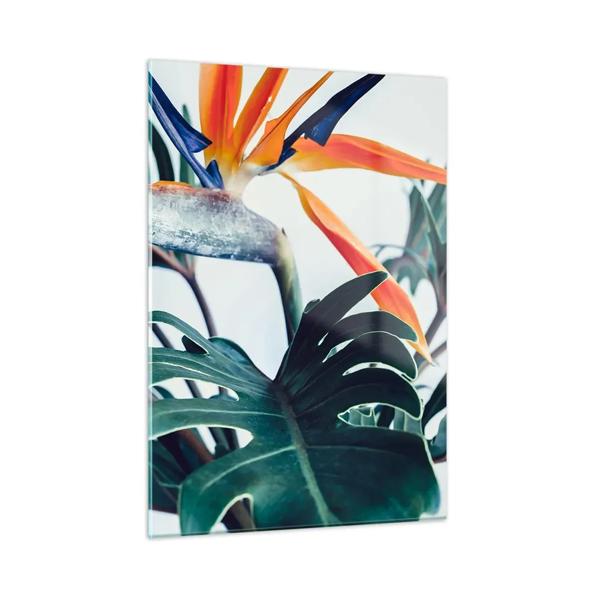 Impression sur verre - Image sur verre - Plante exotique avec fleur d'oiseau de paradis - 50x70cm - Le buisson oiseaux - Décoration murale moderne pour le salon et la chambre ARTTOR