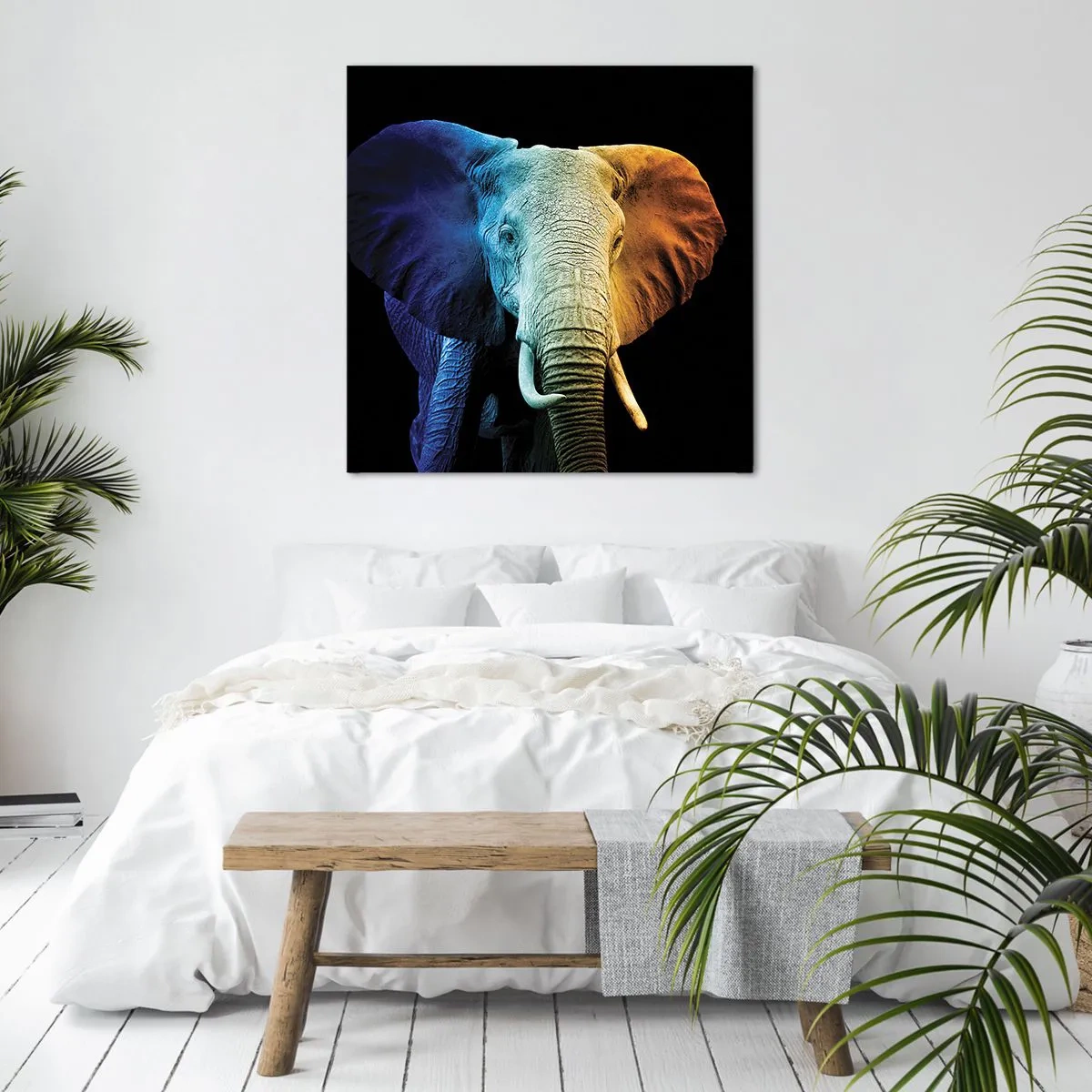 Impression sur toile - Image sur toile - Excentrique, pas bizarre - 30x30 cm