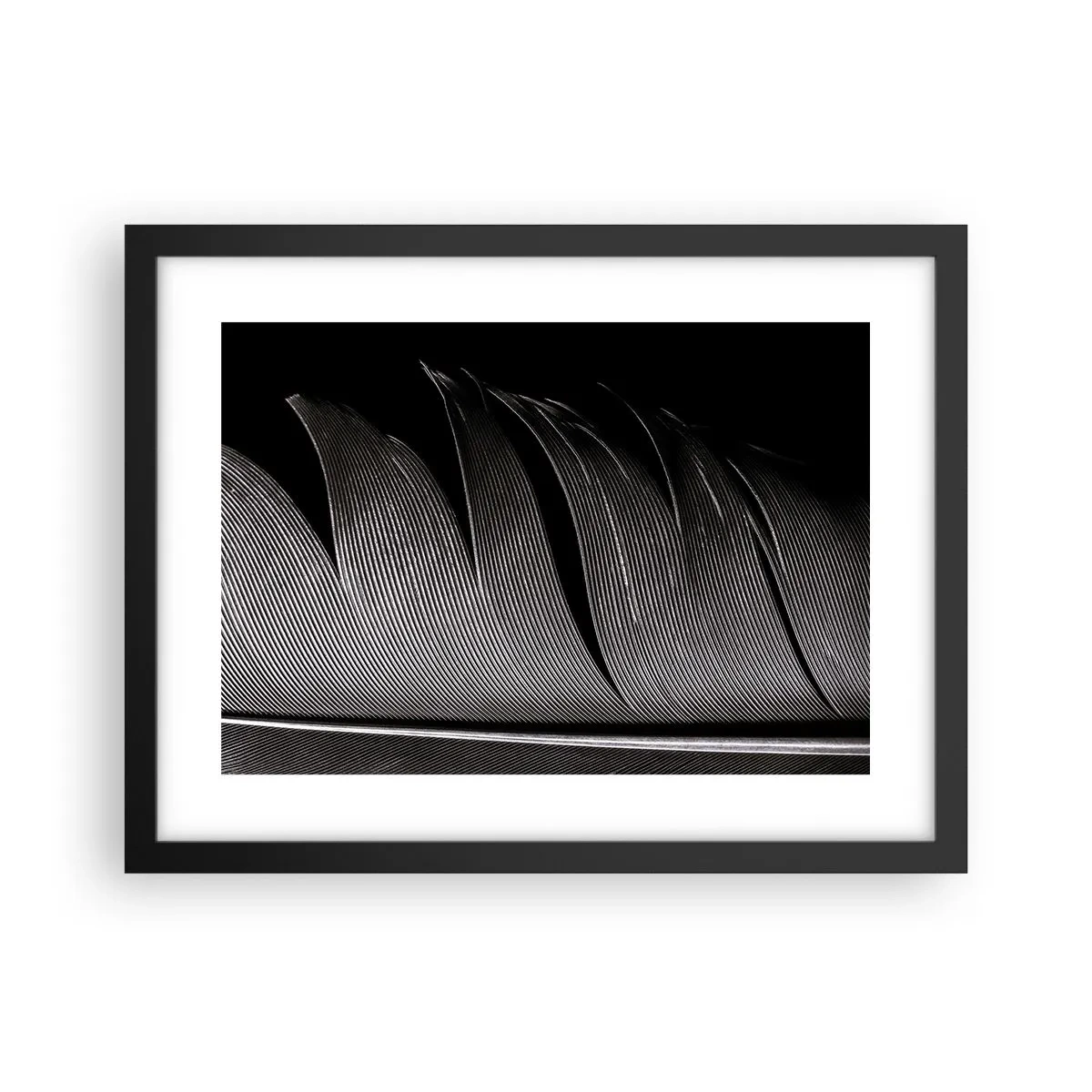 Affiche dans un cadre noir - Poster - La plume – un design magnifique - 40x30 cm