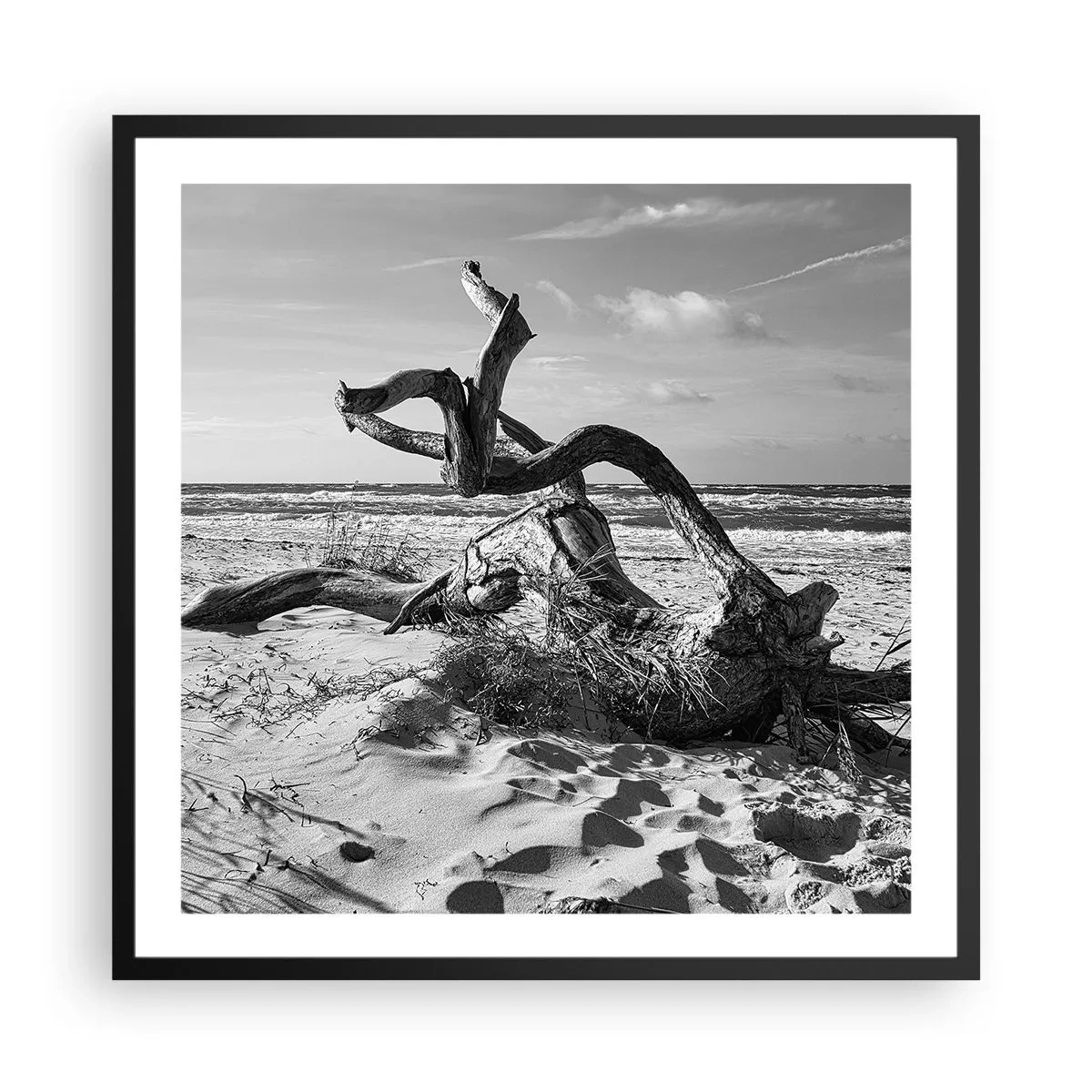 Affiche dans un cadre noir - Poster - Sculpture marine - 60x60 cm