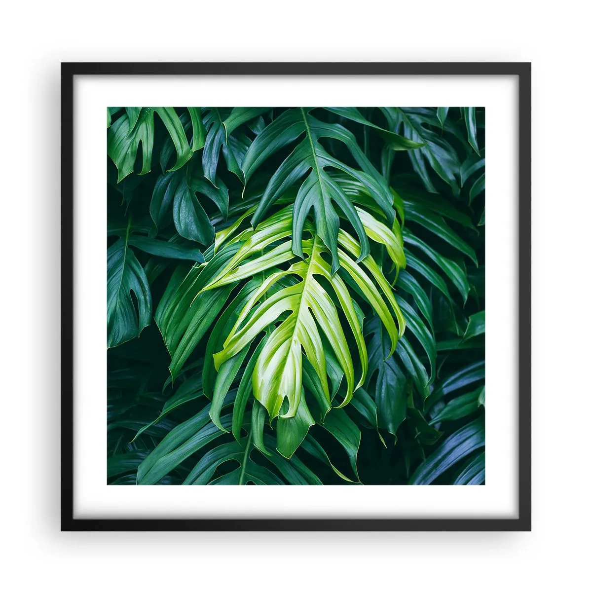 Affiche dans un cadre noir - Poster - Immergez-vous dans la fraîcheur - 50x50 cm