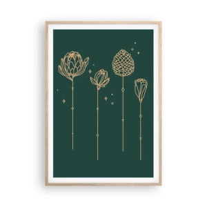 Affiche dans un chêne clair - Poster - La famille Plante - 70x100 cm