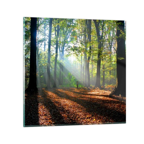 Impression sur verre - Image sur verre - Ombres et lumières - 60x60 cm