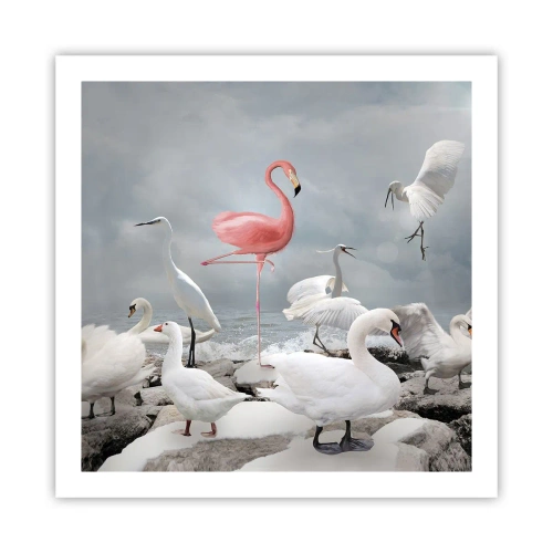 Affiche - Poster - Comment suis-je arrivé là? - 60x60 cm
