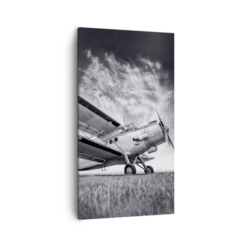 Impression sur toile - Image sur toile - Le pèlerin ailé - 45x80 cm