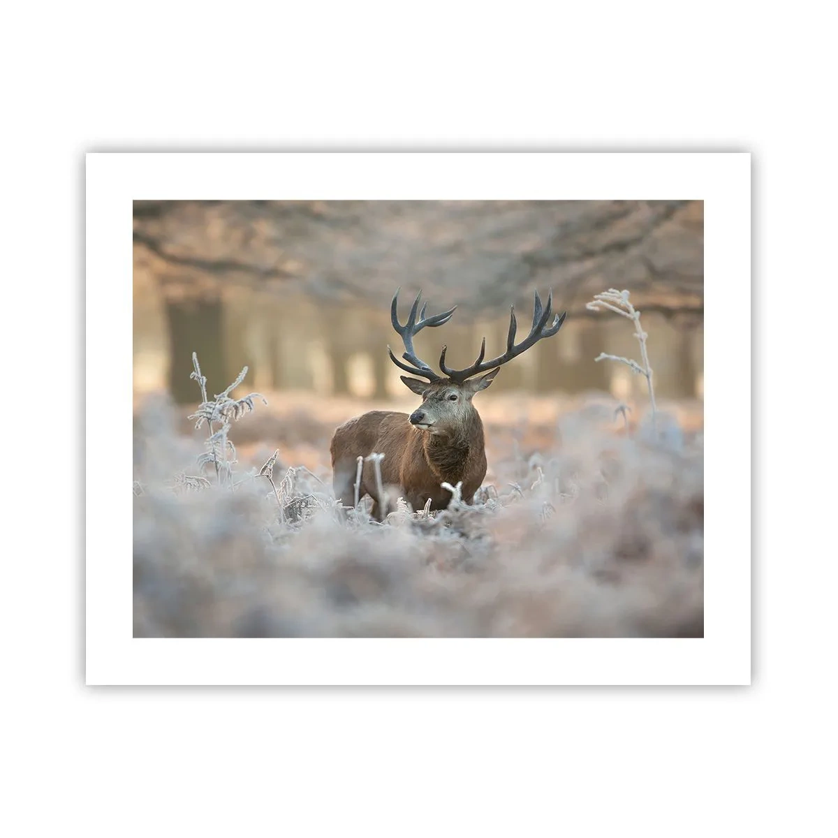 Affiche - Poster - Une matinée animée - 50x40 cm