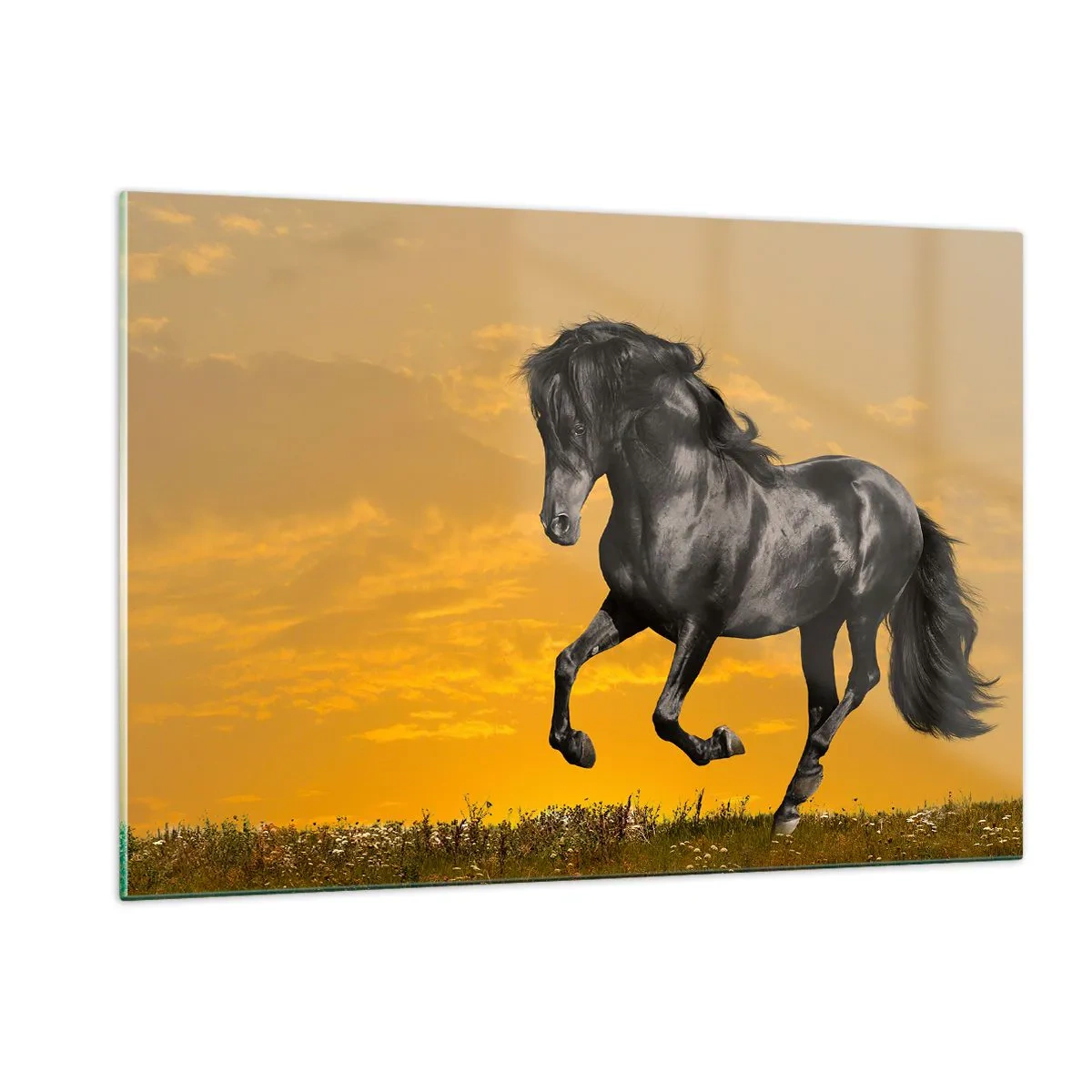 Impression sur verre - Image sur verre - Un cheval noir galopant contre le soleil couchant - 120x80cm - Beau, libre et sauvage - Décoration murale moderne pour le salon et la chambre ARTTOR