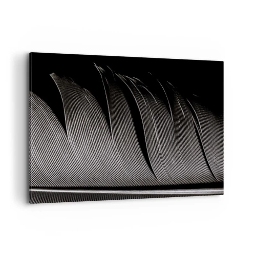 Impression sur toile - Image sur toile - Texture de plumes noires et blanches dans un style minimaliste - 120x80cm - La plume – un design magnifique - Décoration murale moderne pour le salon et la chambre ARTTOR