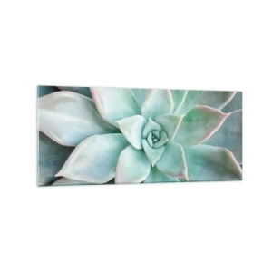 Impression sur verre - Image sur verre - Gros plan d'une succulente verte - 120x50cm - Le coeur du désert - Décoration murale moderne pour le salon et la chambre ARTTOR