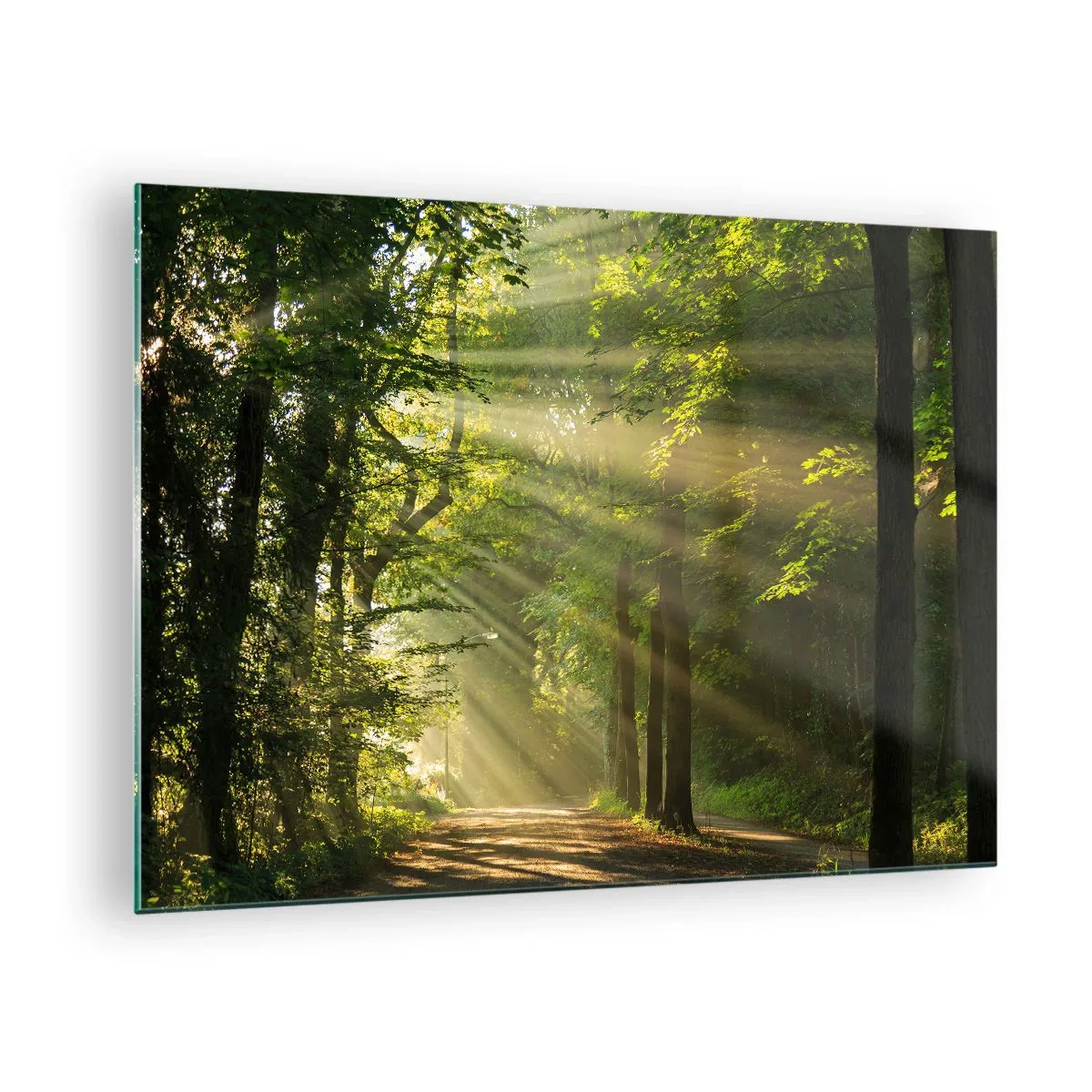 Impression sur verre - Image sur verre - Un chemin forestier illuminé par les rayons du soleil - 70x50cm - Moment de forêt - Décoration murale moderne pour le salon et la chambre ARTTOR