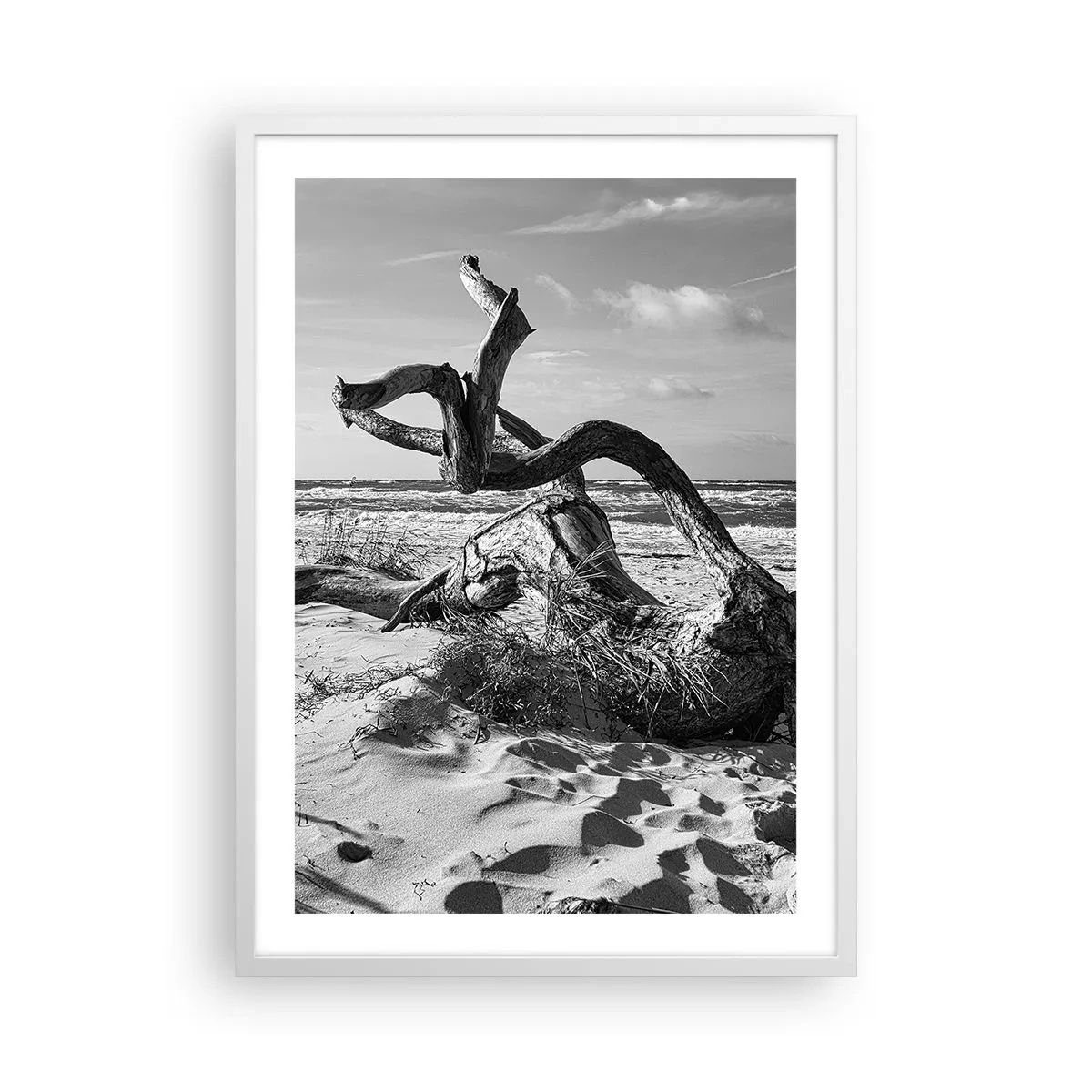 Affiche dans un cadre blanc - Poster - Sculpture marine - 50x70 cm