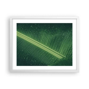 Affiche dans un cadre blanc - Poster - Structure de vert - 50x40 cm