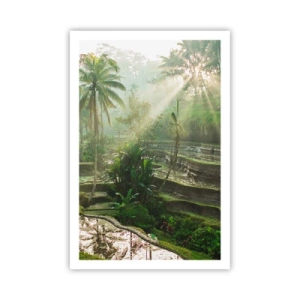 Affiche - Poster - Grandir au soleil - 61x91 cm