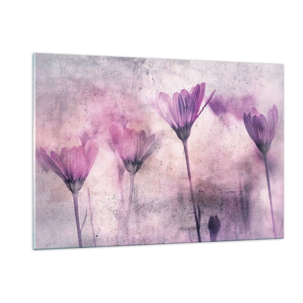Impression sur verre - Image sur verre - Fleurs délicates aux tons pastel violets - 120x80cm - Rêve de fleurs - Décoration murale moderne pour le salon et la chambre ARTTOR