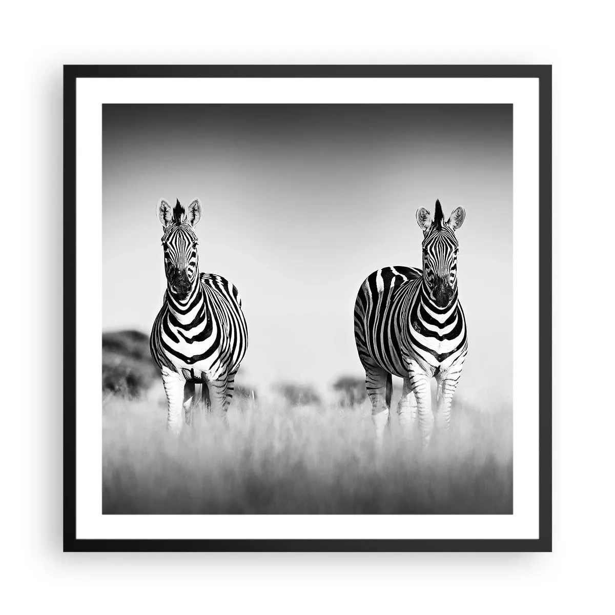 Affiche dans un cadre noir - Poster - Le monde est bel et bien noir et blanc - 60x60 cm