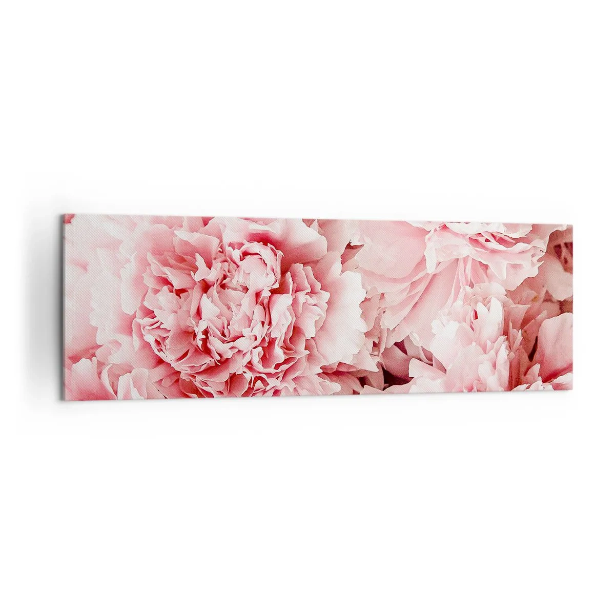 Impression sur toile - Image sur toile - Pivoines roses subtiles dans un décor délicat - 160x50cm - Rêve rose - Décoration murale moderne pour le salon et la chambre ARTTOR
